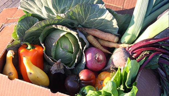 Duke community members can now sign up for "CSAs," or boxes of produce from local farmers, as part of the Duke Mobile Farmers Market.